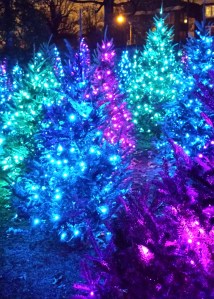 Missouri Botanical Garden Glow, December 2013